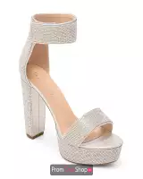 Silver Shimmer
